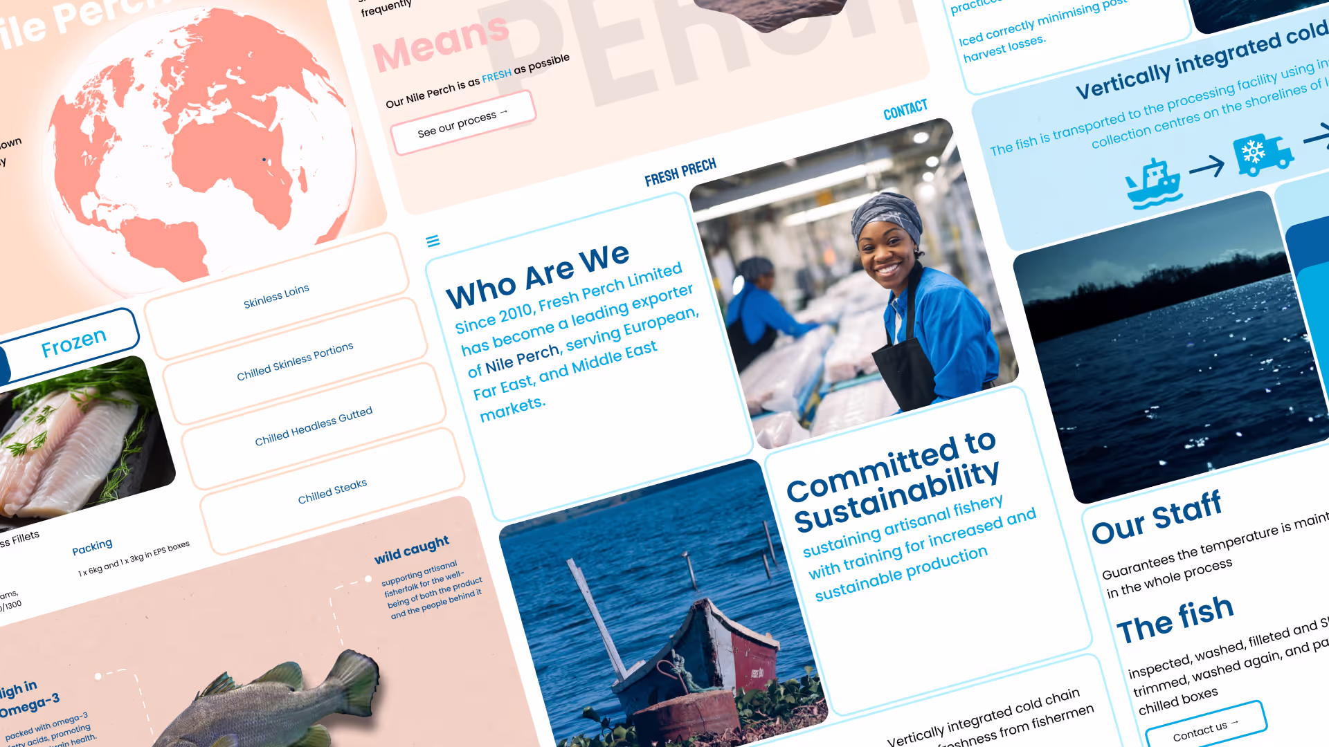Fishing website showcase.